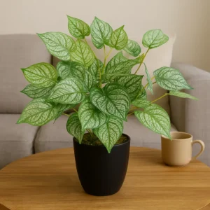 40cm Artificial Caladium Plant with Pot